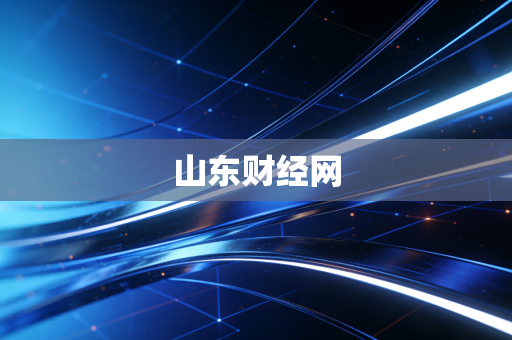 山东财经网