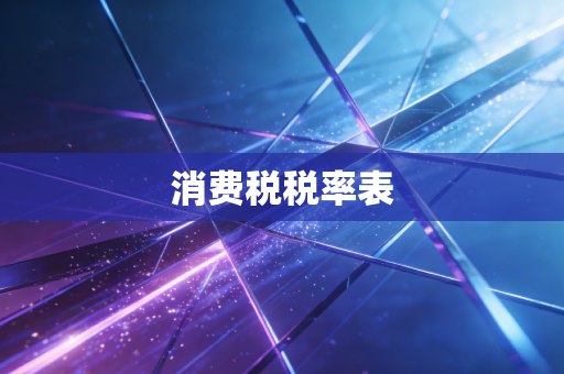 消费税税率表