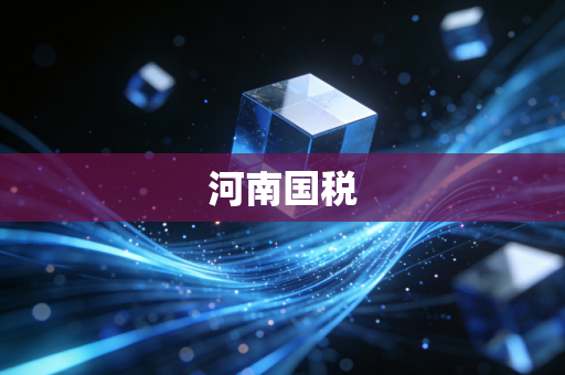 河南国税