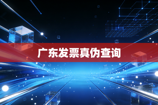 广东发票真伪查询