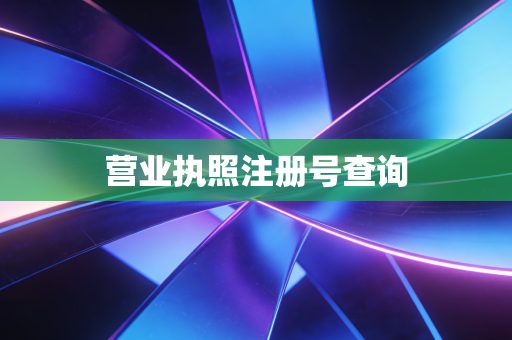 营业执照注册号查询