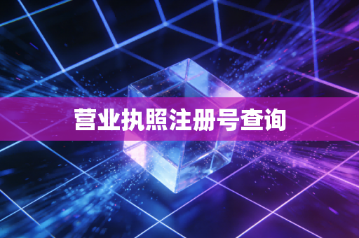营业执照注册号查询