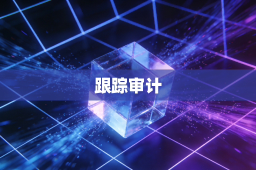 跟踪审计