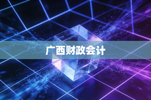 广西财政会计
