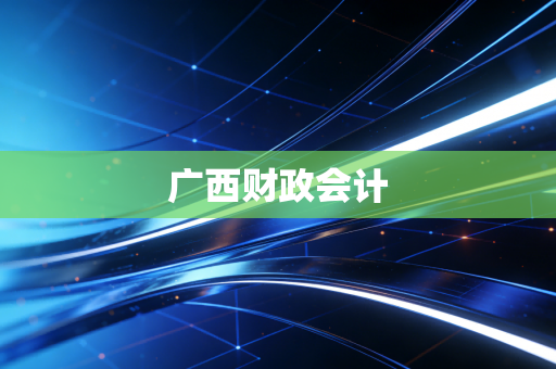 广西财政会计