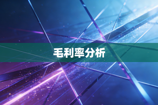 毛利率分析