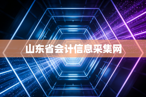 山东省会计信息采集网