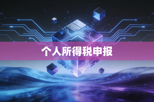 个人所得税申报