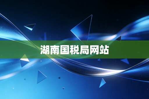 湖南国税局网站