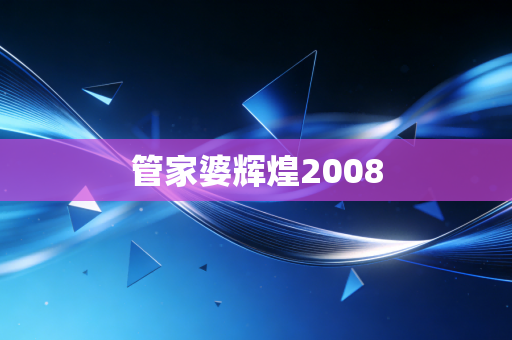 管家婆辉煌2008
