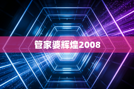 管家婆辉煌2008