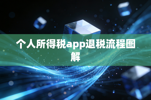 个人所得税app退税流程图解