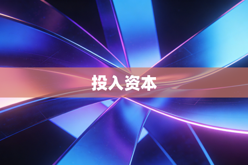 投入资本