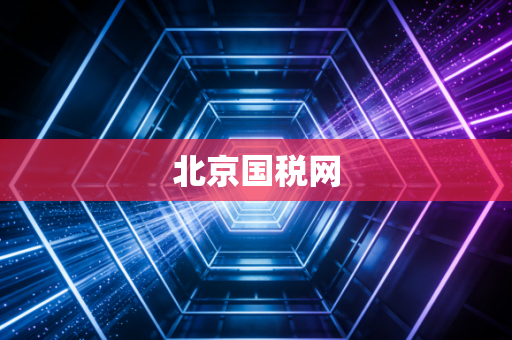 北京国税网