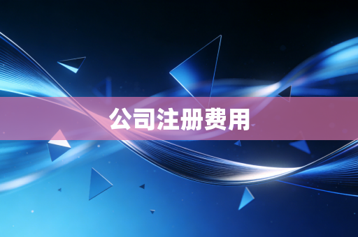 公司注册费用