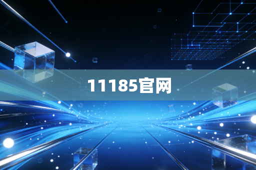 11185官网