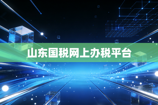山东国税网上办税平台