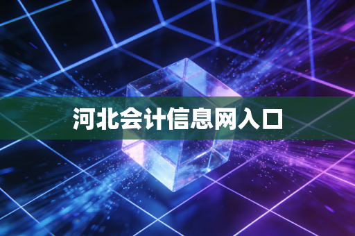 详细阅读:河北会计信息网入口 河北会计信息网入口