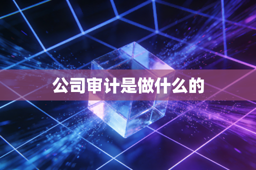 公司审计是做什么的