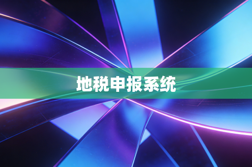 地税申报系统