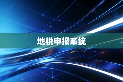 地税申报系统