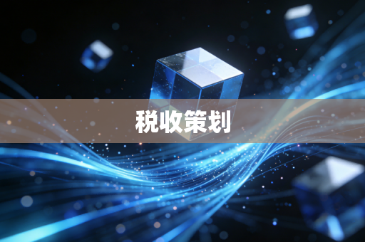 税收策划