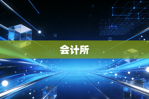 会计所