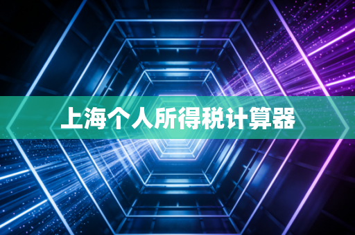 上海个人所得税计算器