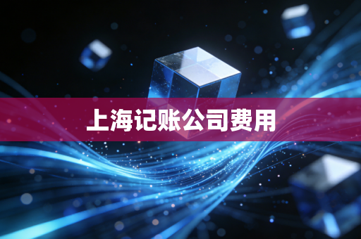 上海记账公司费用