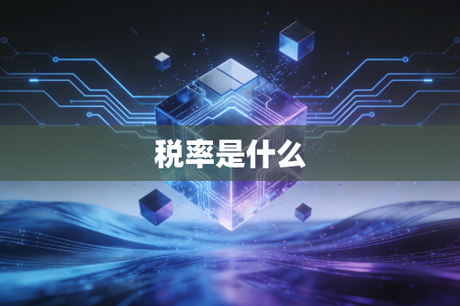 税率是什么