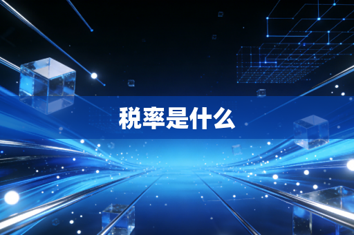 税率是什么