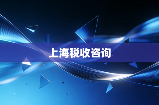 上海税收咨询