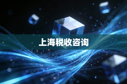 上海税收咨询