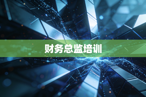 财务总监培训