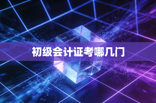 初级会计证考哪几门