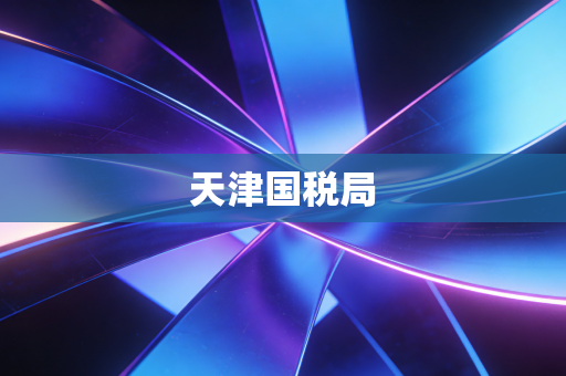 天津国税局