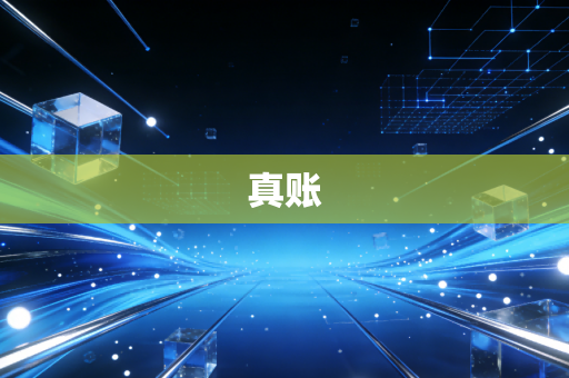 真账