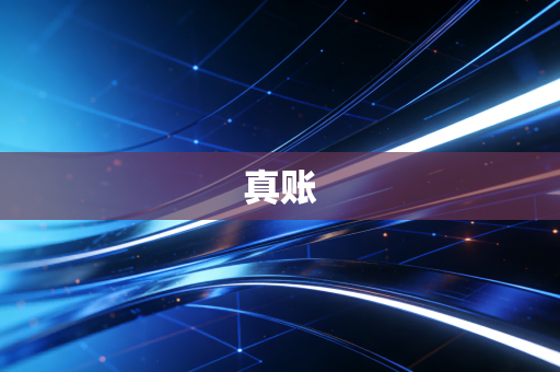 真账