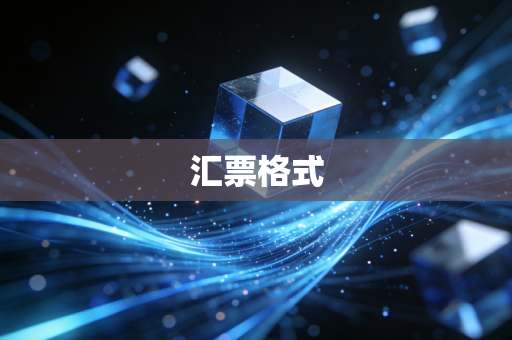 详细阅读:汇票格式 汇票格式