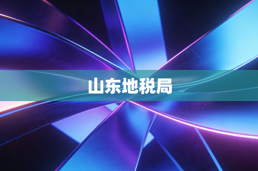 山东地税局