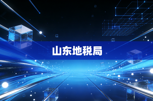 山东地税局