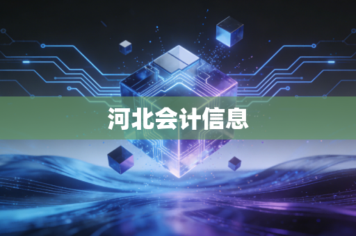 河北会计信息