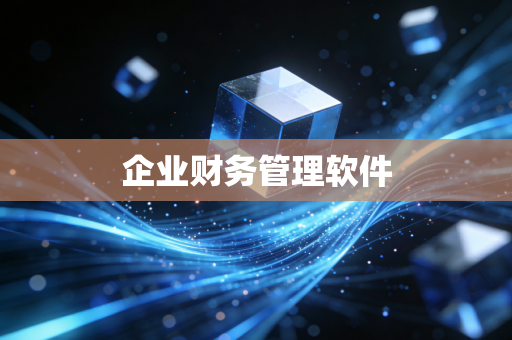 企业财务管理软件