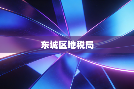 东城区地税局