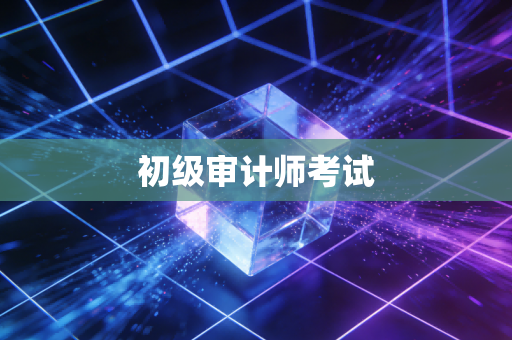 初级审计师考试
