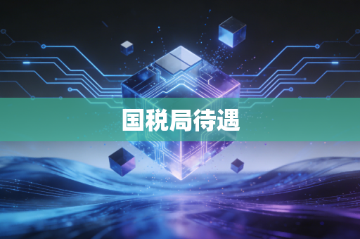 国税局待遇