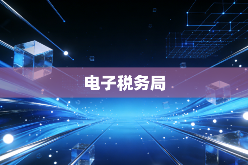电子税务局