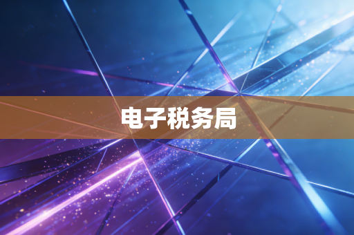 电子税务局