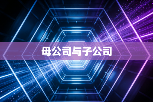 母公司与子公司