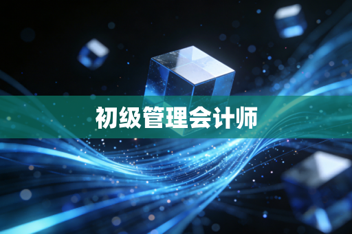 初级管理会计师